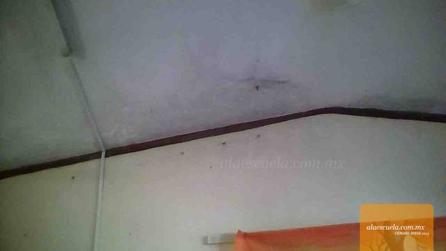 Aulas (vista previa)