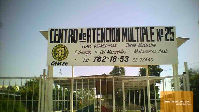 Entrada (vista previa)