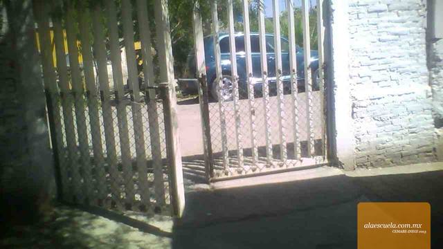 Entrada (vista previa)