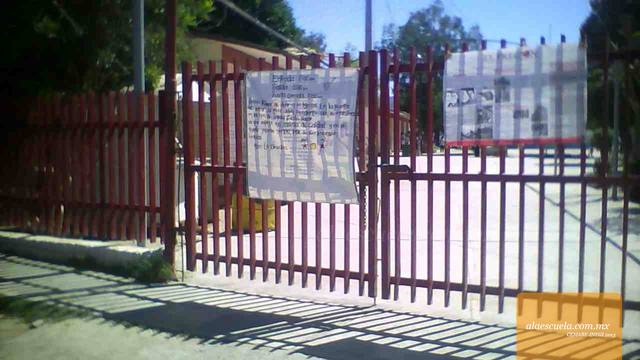 Entrada (vista previa)