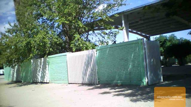 Entrada (vista previa)
