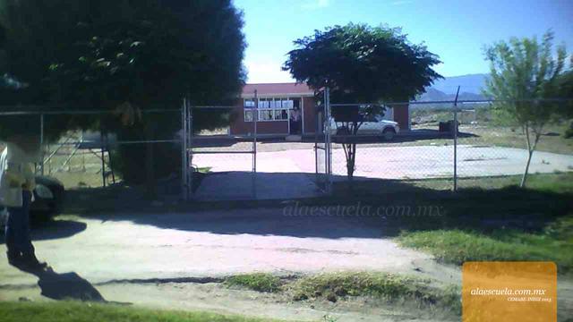 Entrada (vista previa)