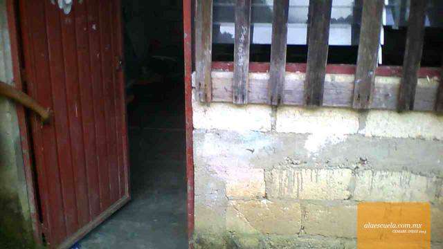 Entrada (vista previa)