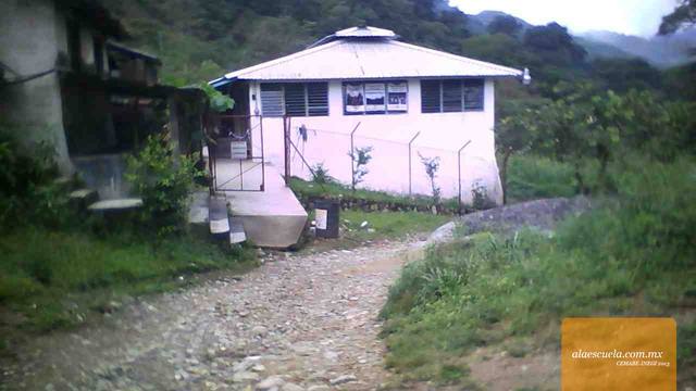 Entrada (vista previa)