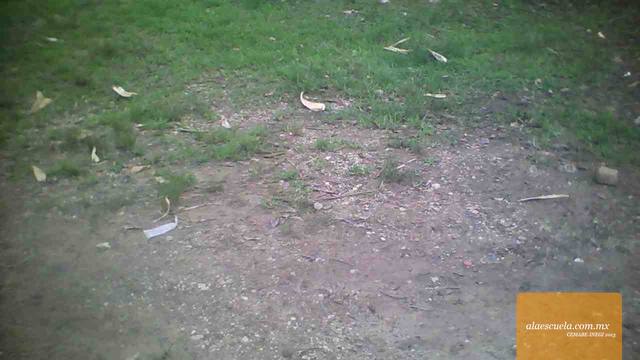 Áreas (vista previa)