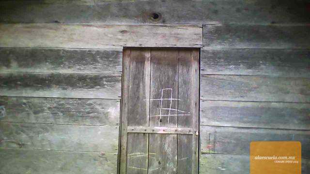 Entrada (vista previa)