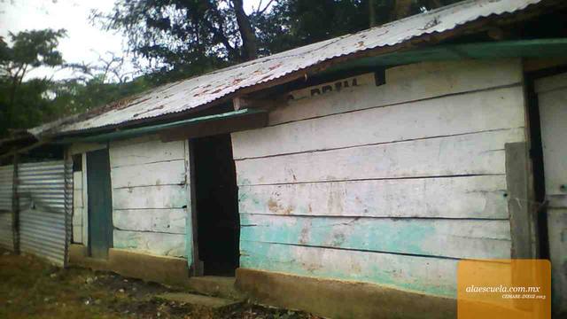 Entrada (vista previa)