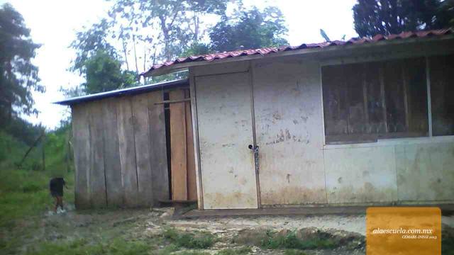 Entrada (vista previa)