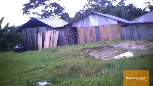 Entrada (vista previa)