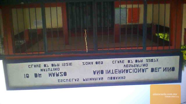 Entrada (vista previa)