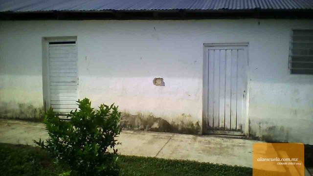 Entrada (vista previa)