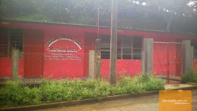 Entrada (vista previa)