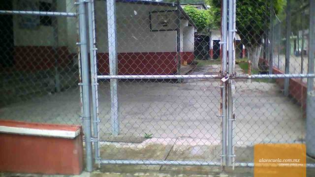 Entrada (vista previa)