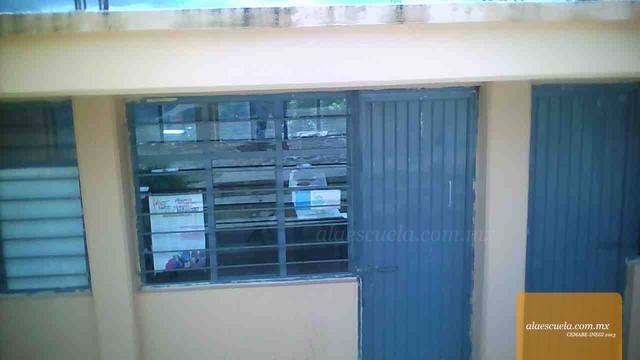 Entrada (vista previa)