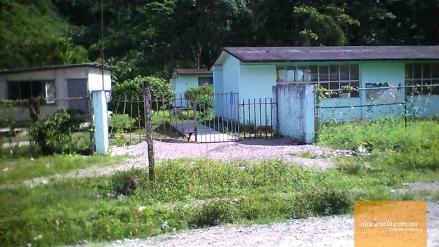 Entrada (vista previa)