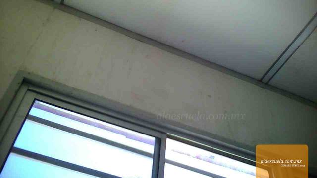 Aulas (vista previa)