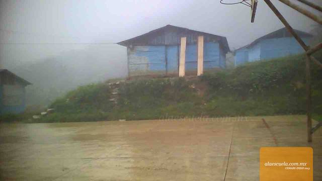 Entrada (vista previa)