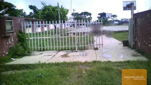 Entrada (vista previa)