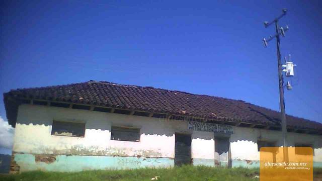 Entrada (vista previa)