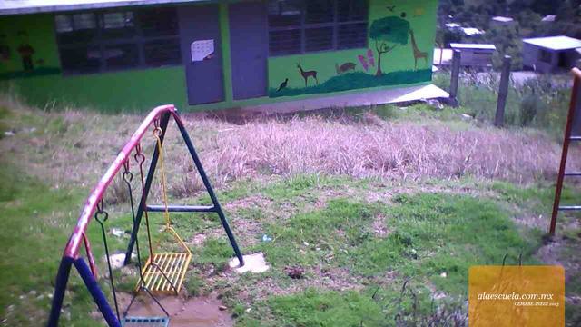 Entrada (vista previa)