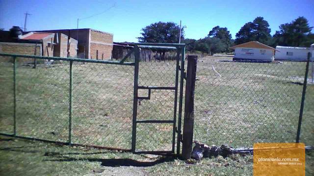 Entrada (vista previa)