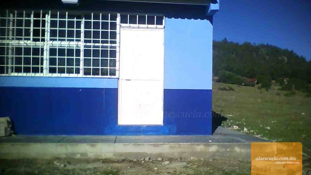 Entrada (vista previa)