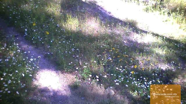 Áreas (vista previa)