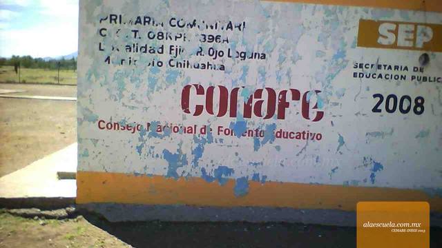 Entrada (vista previa)