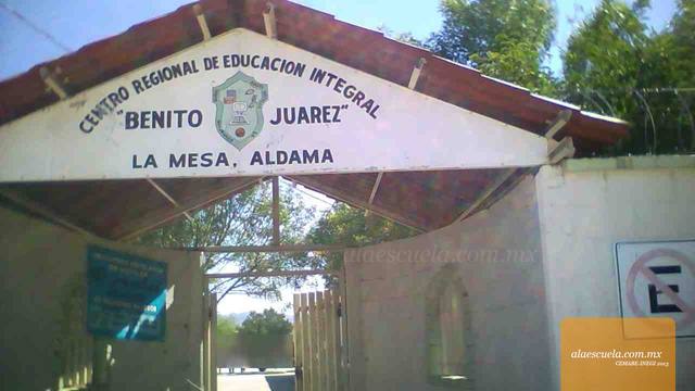 Entrada (vista previa)