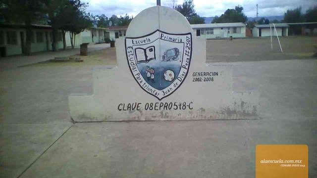 Entrada (vista previa)