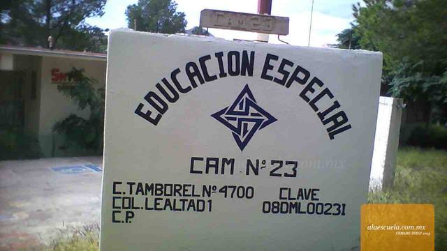 Entrada (vista previa)