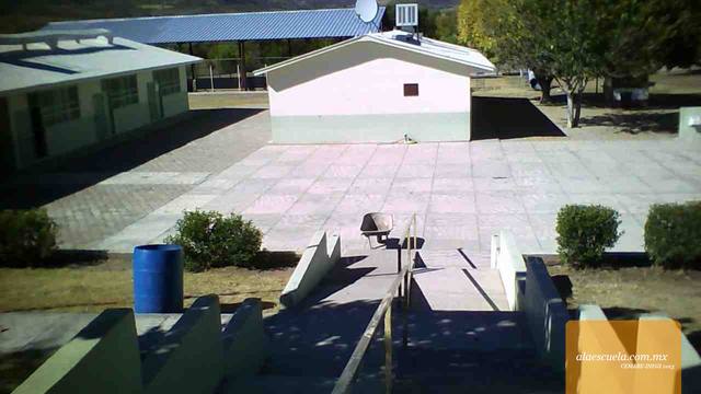 Entrada (vista previa)