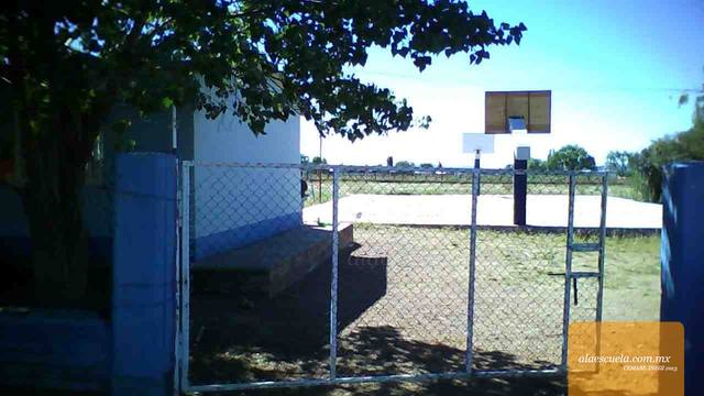 Entrada (vista previa)
