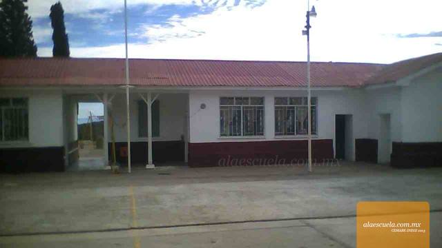 Entrada (vista previa)