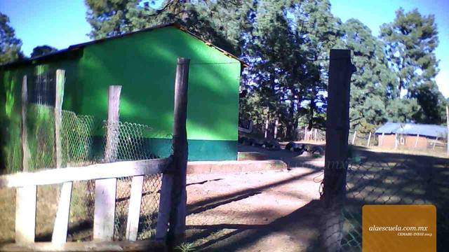 Entrada (vista previa)