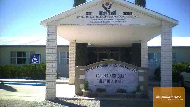 Entrada (vista previa)