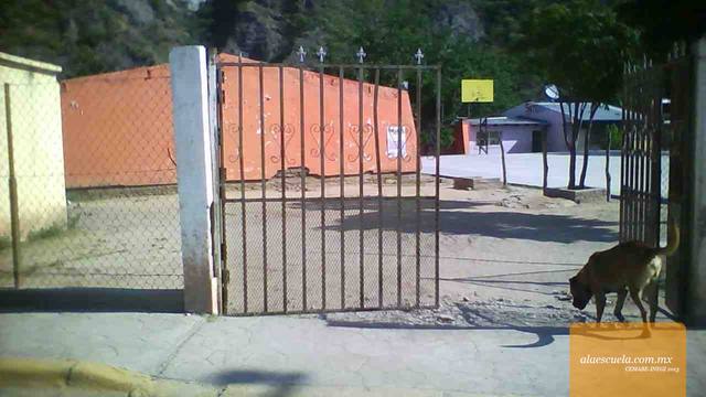 Entrada (vista previa)