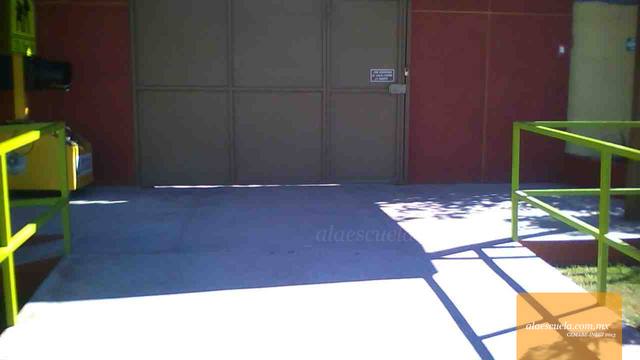 Entrada (vista previa)