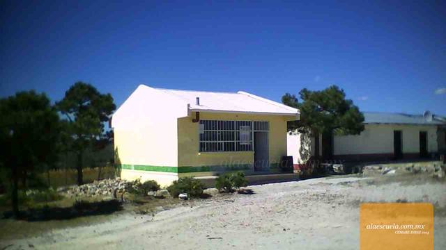 Entrada (vista previa)