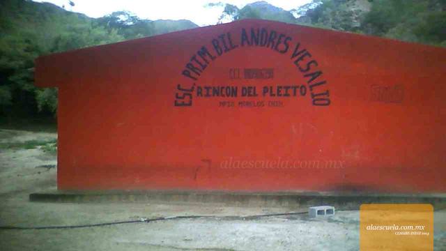 Entrada (vista previa)
