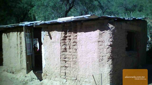 Entrada (vista previa)