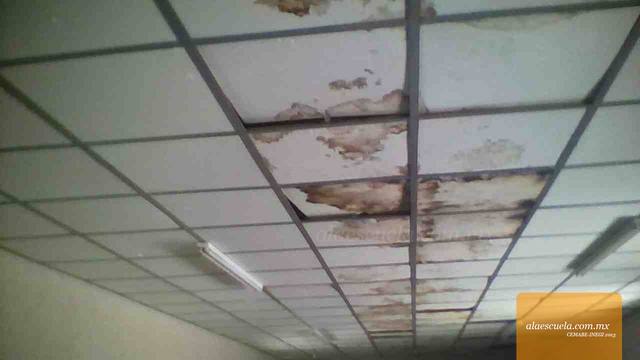 Aulas (vista previa)
