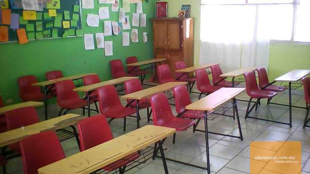 Entrada (vista previa)