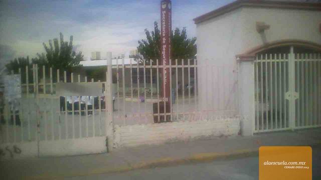 Entrada (vista previa)