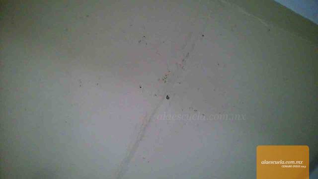 Aulas (vista previa)