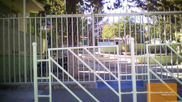 Entrada (vista previa)