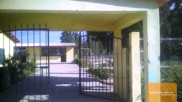 Entrada (vista previa)