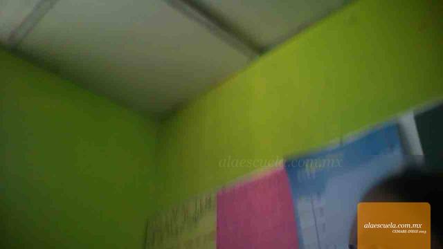 Entrada (vista previa)