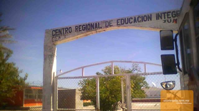 Entrada (vista previa)