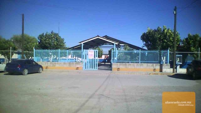 Entrada (vista previa)